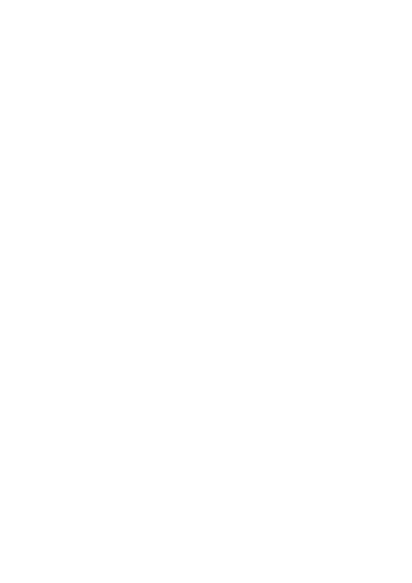 AVA.co